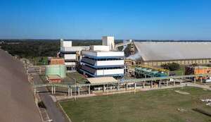 Repunta industrialización de soja y llega a su mejor nivel del año       - ABC Rural - ABC Color