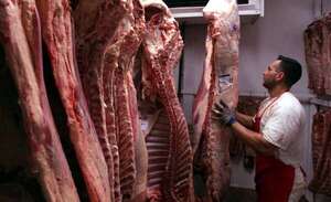 Carne importada alivia al mercado interno  - ABC Rural - ABC Color