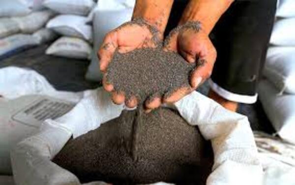 Fiscalía protege a productor amenazado por empresa agrícola en San Pedro - PDS RADIO Y TV