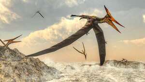 Fósiles de Solnhofen cuentan la historia de pterosaurios y tormentas prehistóricas - Ciencia - ABC Color