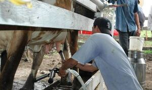 Industria láctea vislumbra buenos tiempos a pesar de menor producción por el clima