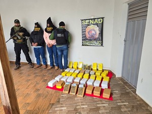 Detectan esquema internacional de tráfico de marihuana de alta potencia en San Pedro