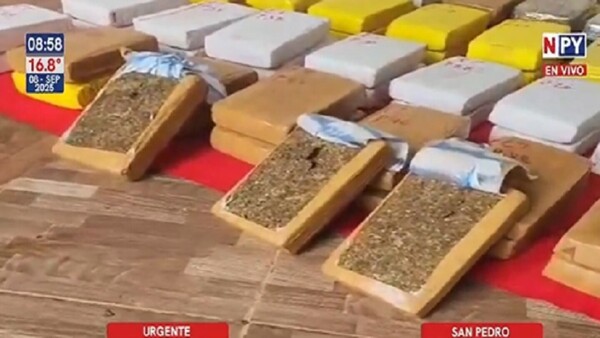 Incautan más de 82 kilos de marihuana “Colombian Gold”