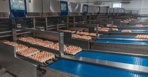 Nutrihuevos impulsa la economía con innovación y compromiso social