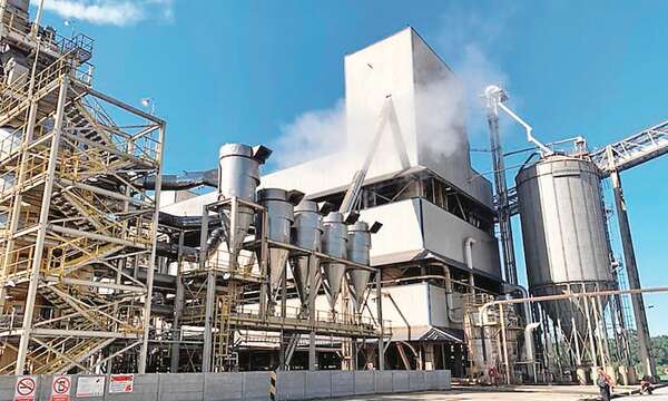 Para UIP, el Chaco se perfila como centro del desarrollo industrial - Economía - ABC Color