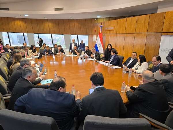 ANDE también expresa su rechazo a que el MIC maneje política energética - Política - ABC Color