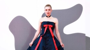 Alformbra roja de la Mostra de Venecia