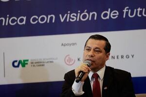 ANDE pide un ente regulador independiente - Nacionales - ABC Color