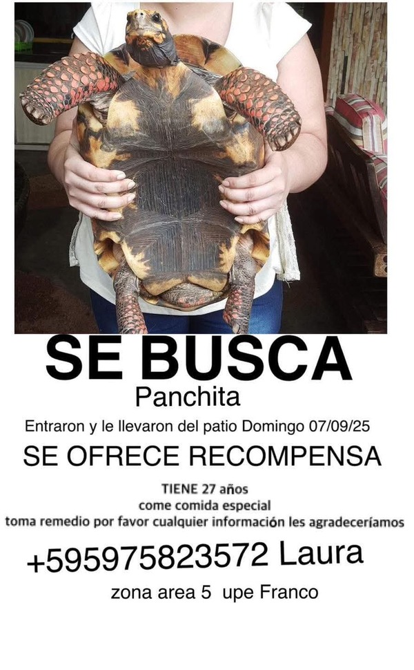 Popular / Buscan a Pachita y ofrecen recompensa