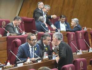 Diputados aprueba dos proyectos para intentar frenar la “mafia de los pagarés”  - Política - ABC Color