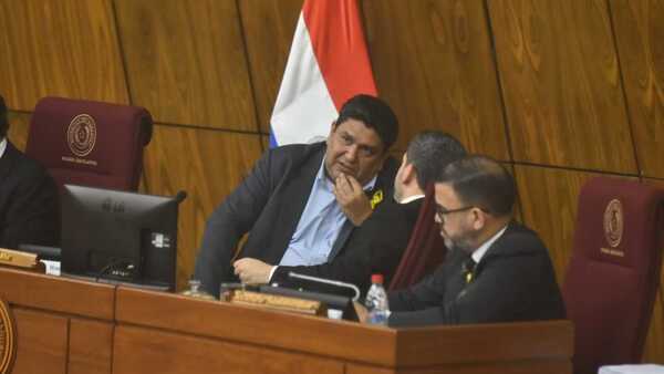 Blanqueo: Diputados aplazan por 90 días pedidos de intervención a seis intendentes