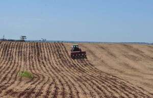 Soja: precios bajos presionan a mejorar rendimiento por hectárea - ABC Rural - ABC Color