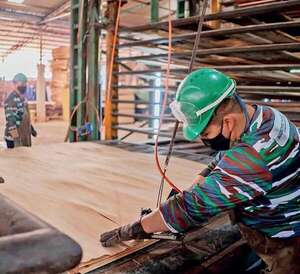 Industria forestal apunta a ser un motor económico - Día de la Industria Nacional 2025 - ABC Color