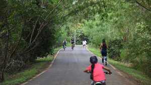 Celebran reconocimiento del Parque Guasu como Reserva Ecológica