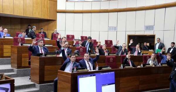 La Nación / Aprueban reforma del transporte y garantizan derechos de choferes