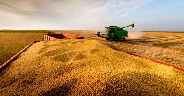 La Nación / Agricultura paraguaya multiplicó por 8 su producción en 30 años, destacan