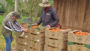 Importadores exigirán factura legal a los productores hortícolas