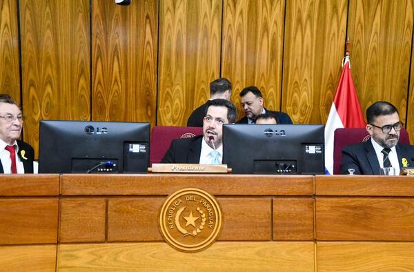 Diputados blindan a intendentes