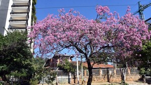 Mitad de semana cálida a calurosa, anuncia Meteorología