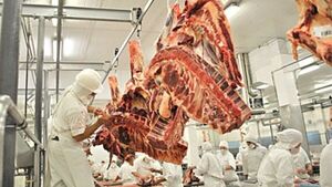 Paraguay logra la apertura del mercado de Filipinas para carnes bovina, porcina y aviar