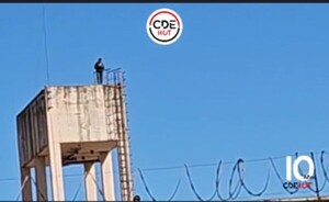 Reo subió al tanque de agua, asustó a vecinos y movilizó a la Policía