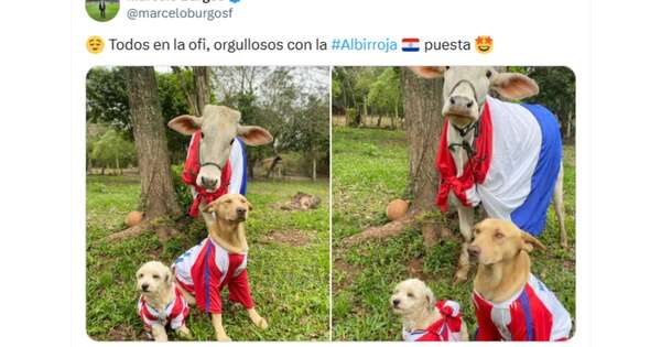 La Nación / Viral: los memes que dejó la histórica victoria de Paraguay ante Perú