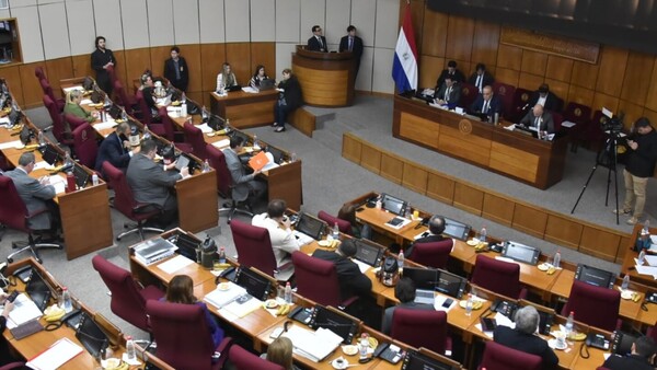 Senado aprueba pedido de informes a Petropar sobre funcionarias destituidas