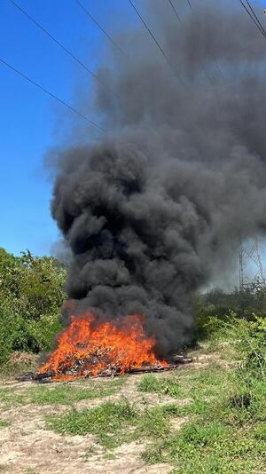 Incineran carga de cocaína en horno pirolítico