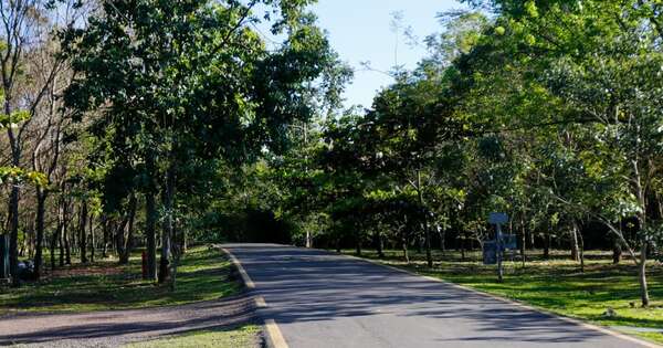 Diario HOY | Aprueban plan que consolidad al Parque Guasú como reserva ecológica