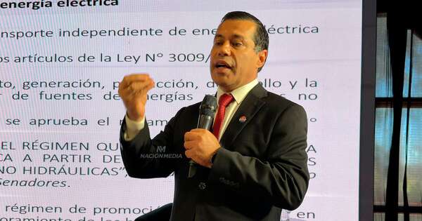 La Nación / Expo Paraguay - Brasil: Ande expuso sobre capacidad eléctrica del país para grandes industrias