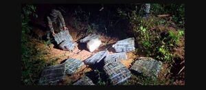 Incautan más de 173 kilos de drogas y fentanilo en la frontera