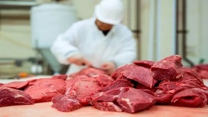 FILIPINAS HABILITA A PARAGUAY PARA EXPORTAR CARNE BOVINA, PORCINA Y AVIAR