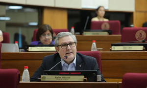 Cruce en el Senado: Filizzola acusa de “servil” a Leite y Ovelar lo respalda - OviedoPress