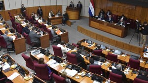 Proyecto de ley genera rechazo por supuestamente fomentar "pyrague" en comisiones vecinales