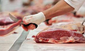Prevén que la exportación de carne brasileña crezca 12% en 2025 pese a aranceles