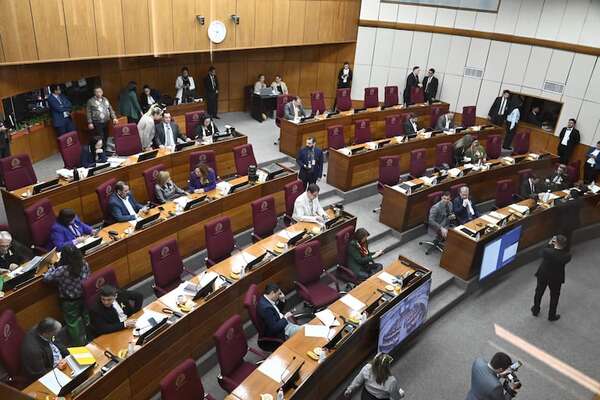 En el Senado, piden sanción para fiscal por caso de feminicidio - Política - ABC Color