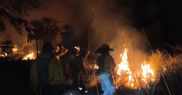 Diario HOY | Con más de 100 militares, controlaron incendio en el Chaco