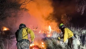 Más de 100 militares y bomberos contienen incendio forestal en el Chaco - ADN Digital