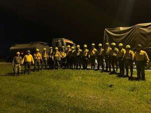 Bomberos y militares controlan incendio forestal en el Chaco - Noticias del Chaco - ABC Color