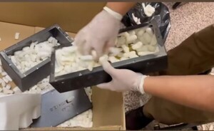 Marihuana “premium” oculta en encomiendas desde EE.UU.