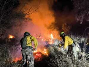 Más de 100 militares sofocaron incendio forestal en Presidente Hayes