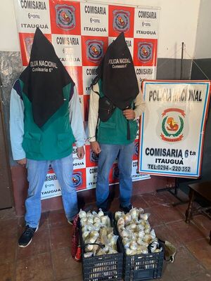 Popular / Adictos ho’a por abuso a niña de 9 años