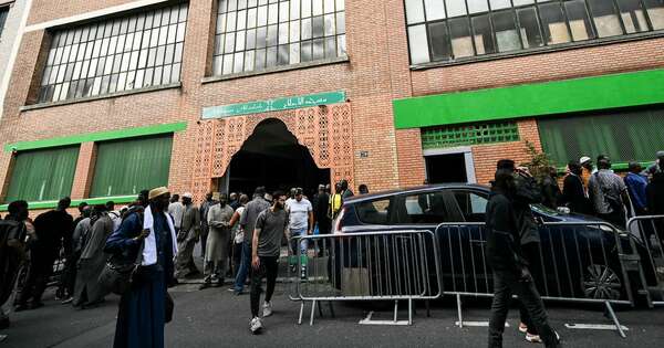 La Nación / Francia: extranjeros habrían dejado cabezas de cerdo ante mezquitas