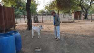 Denuncian a juez en un caso de tierras vinculado a senador Noria