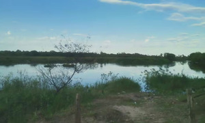 Joven de Itá desaparece tras ahogarse en un arroyo de Ñeembucú - OviedoPress