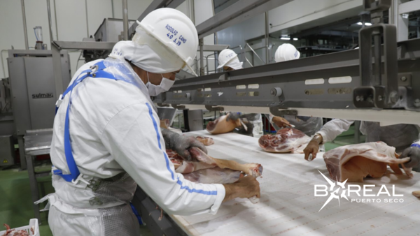 Carne paraguaya a Filipinas: incluye productos de origen bovino, porcino y aviar | Unicanal