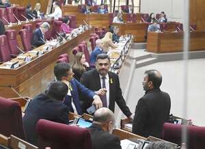 Reflotan ley de “blanqueo exprés 2.0” en Diputados - Política - ABC Color