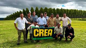 JAT Forestal 2025: presentarán modelos de negocio y prácticas forestales que marcan la diferencia