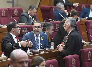 Ley de datos personales va al freezer junto a intervenciones en Diputados - Política - ABC Color