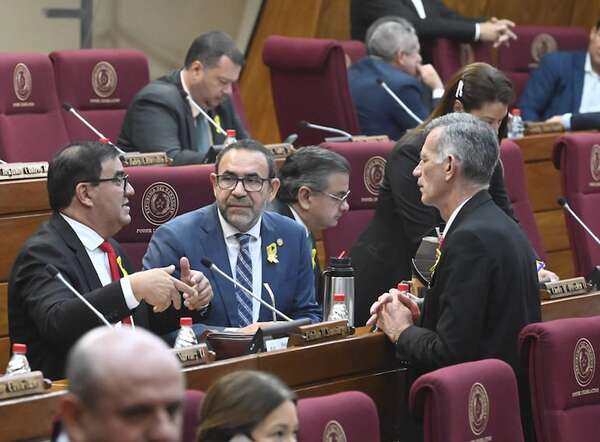 Ley de datos personales va al freezer junto a intervenciones en Diputados - Política - ABC Color